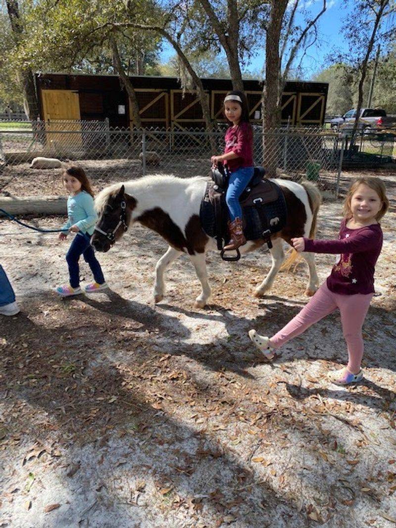 Birthday Parties Done the Farm Way