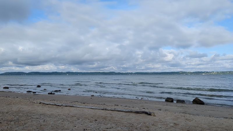 A Rock Hound's Dream Hidden in Plain Sight