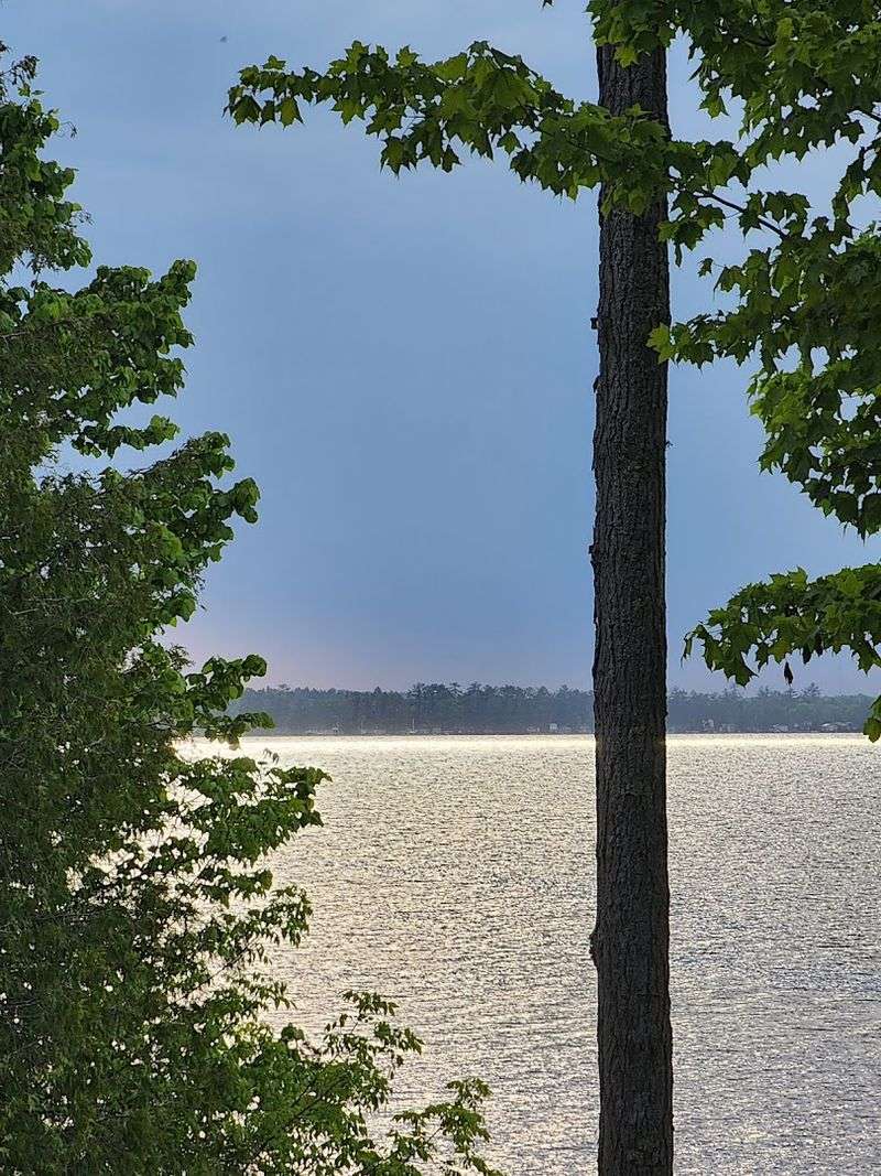 Stargazing After Dark in the Northern Michigan Sky