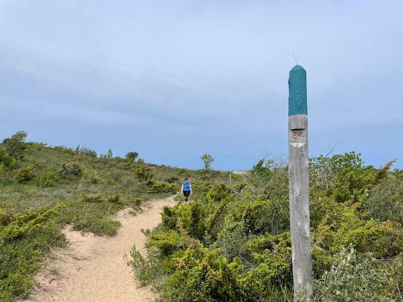 The Full Trail to Lake Michigan