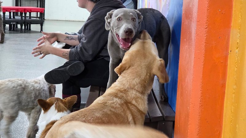 Drinks, Taps, and the Bar Setup