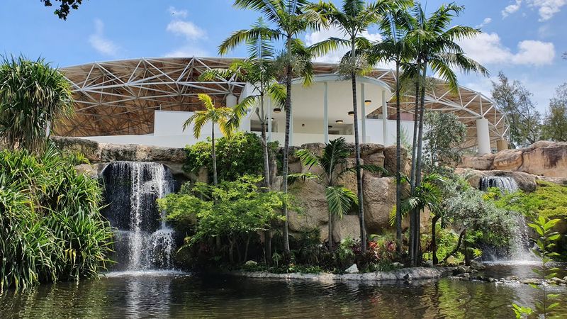 Why the Pond Is the Heart of the Experience