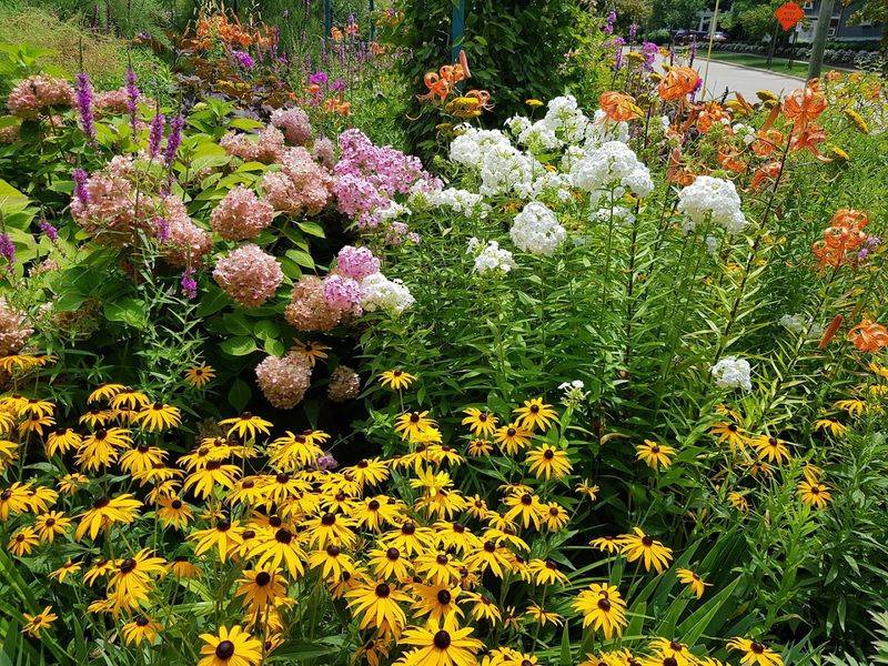 Seasonal Blooms That Reward Repeat Visits