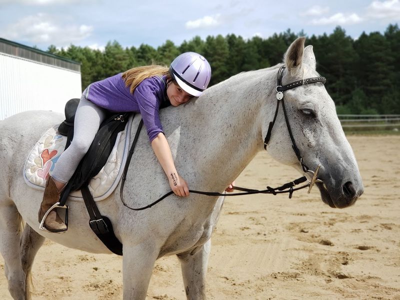 Horses as Healers: The Heart of Everything Here