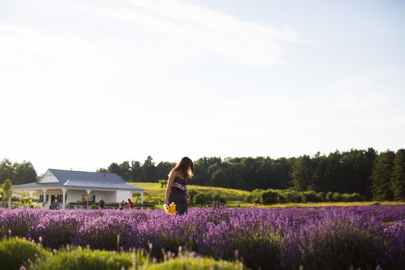 The Best Time of Year to Visit for Full Bloom