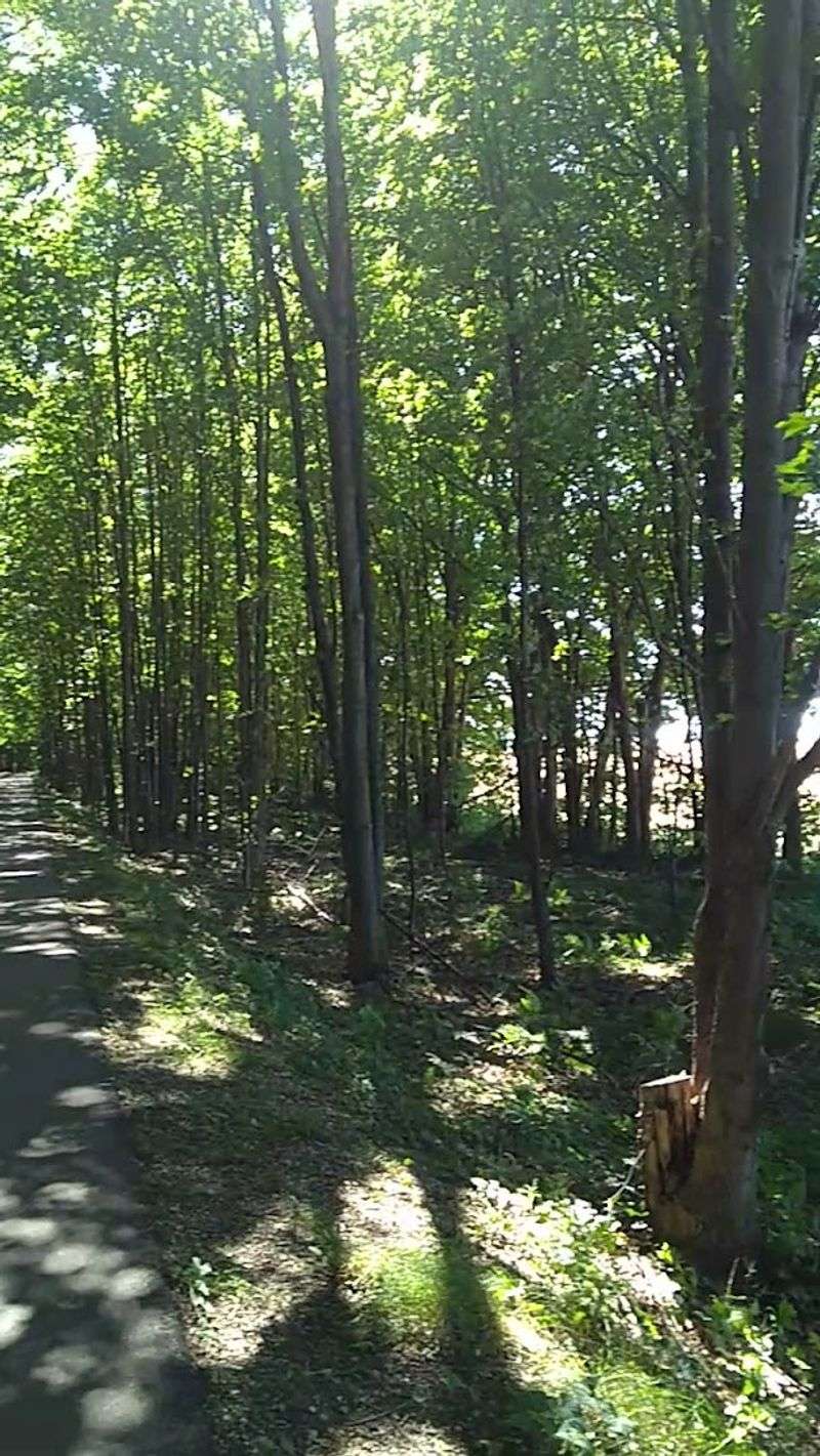 The Trail Surface and Why Cyclists Keep Raving About It