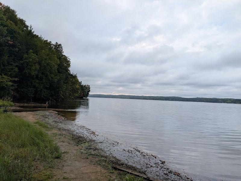 What Waits for You at the Shoreline