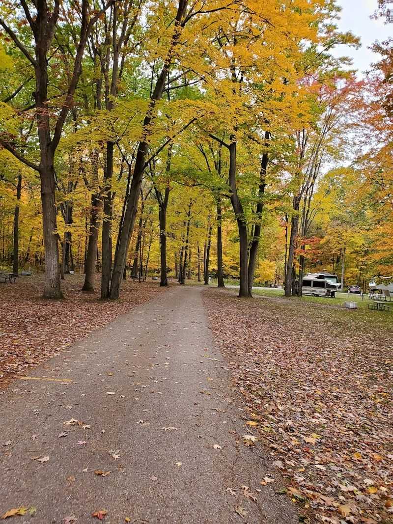 The Best Times to Visit and What to Expect Each Season