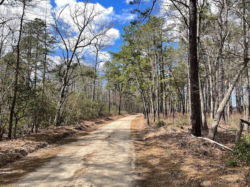 Hunting Across the Seasons