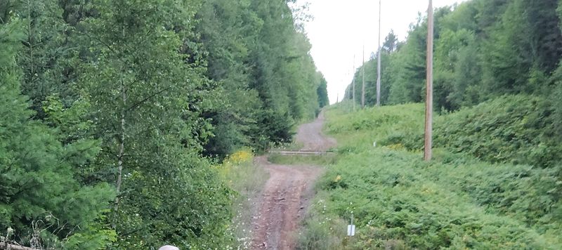 The Trail Beyond the Viewing Spot