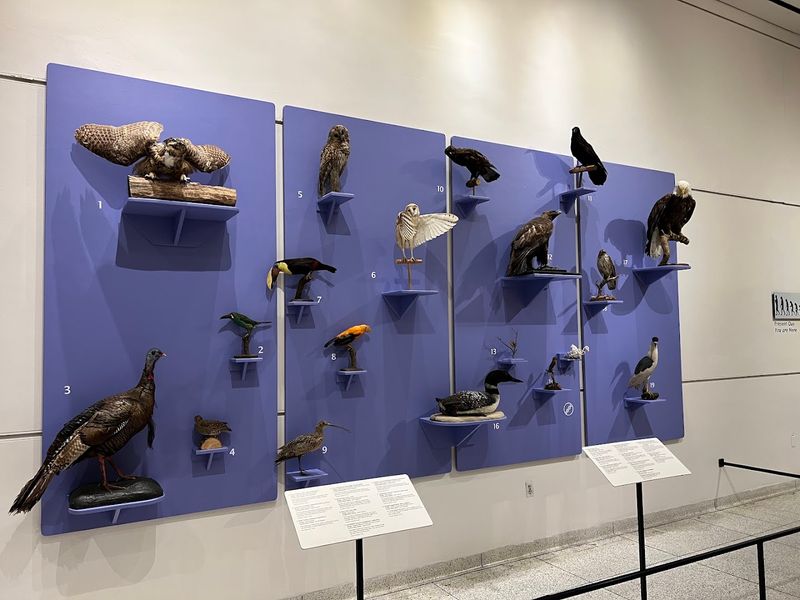 The Delaware River Backdrop: A Setting That Adds to Everything