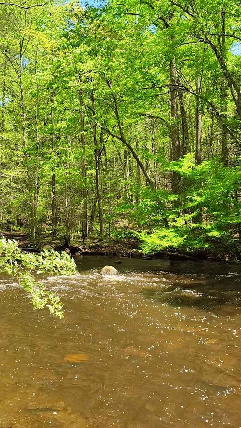 Fishing in a Stocked River