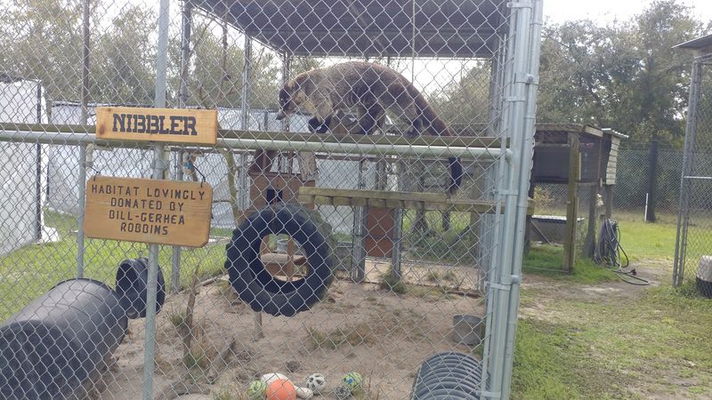 How Donations Keep the Lights On