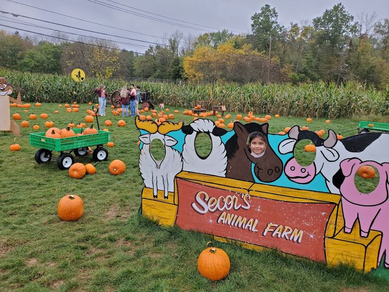 A Spot That Keeps Families Coming Back