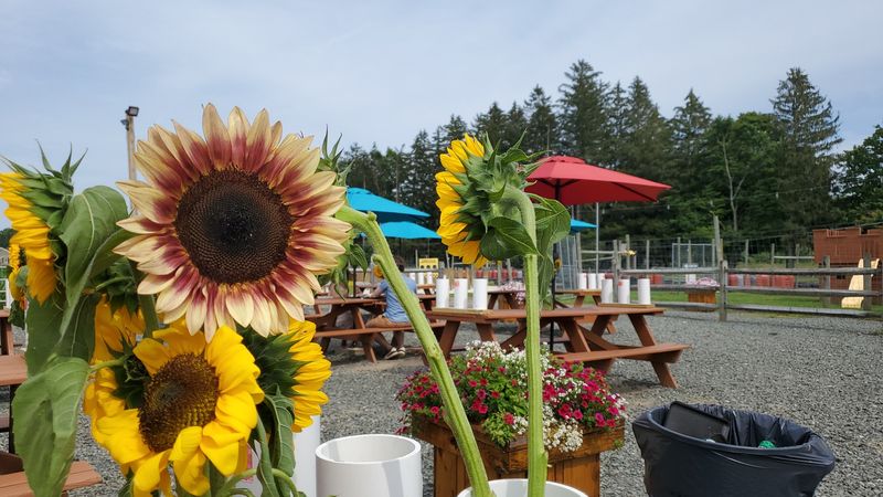 Seasonal Events That Change the Whole Vibe