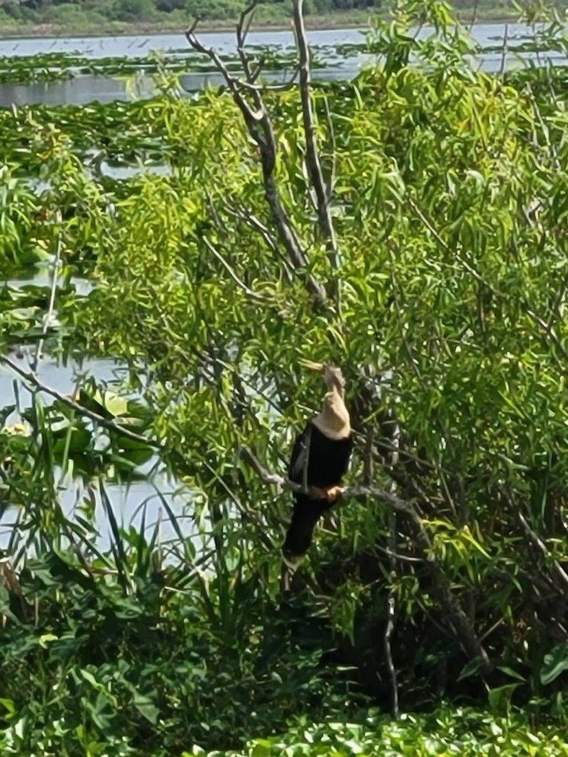 The Old Pump House and Historical Landmarks