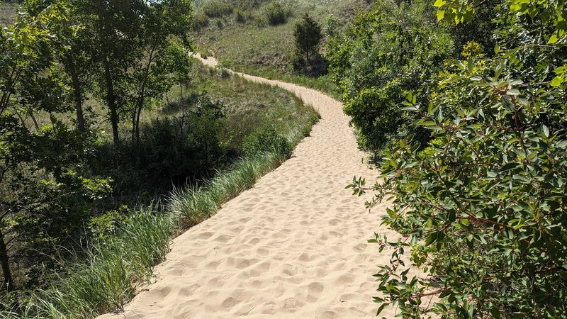 How This Park Compares to Warren Dunes Nearby