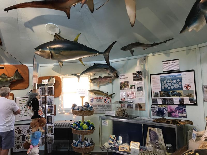 A Nonprofit That Runs on Passion and Community Support