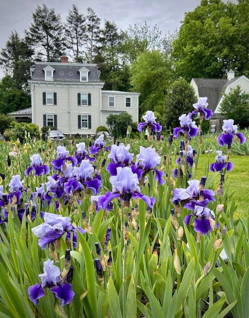 The Best Time of Day to Go