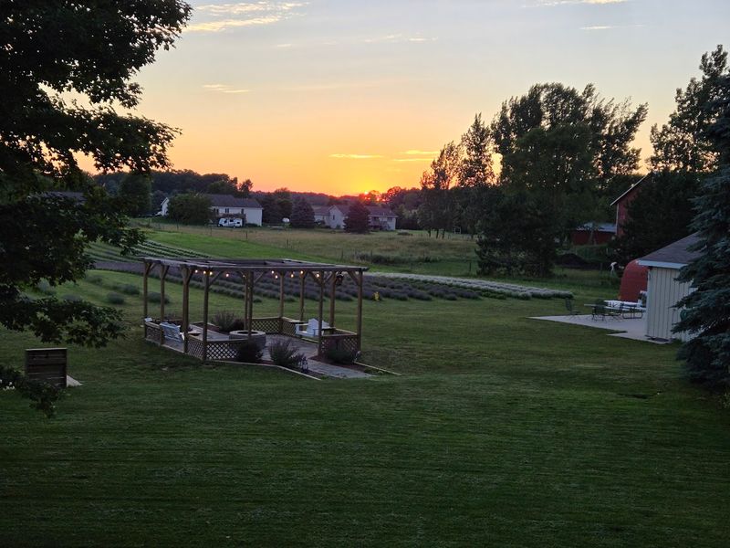 The Calming Atmosphere That Keeps People Coming Back