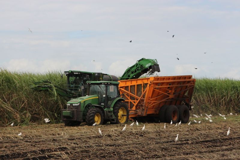 The Agricultural Powerhouse Behind Your Grocery Cart