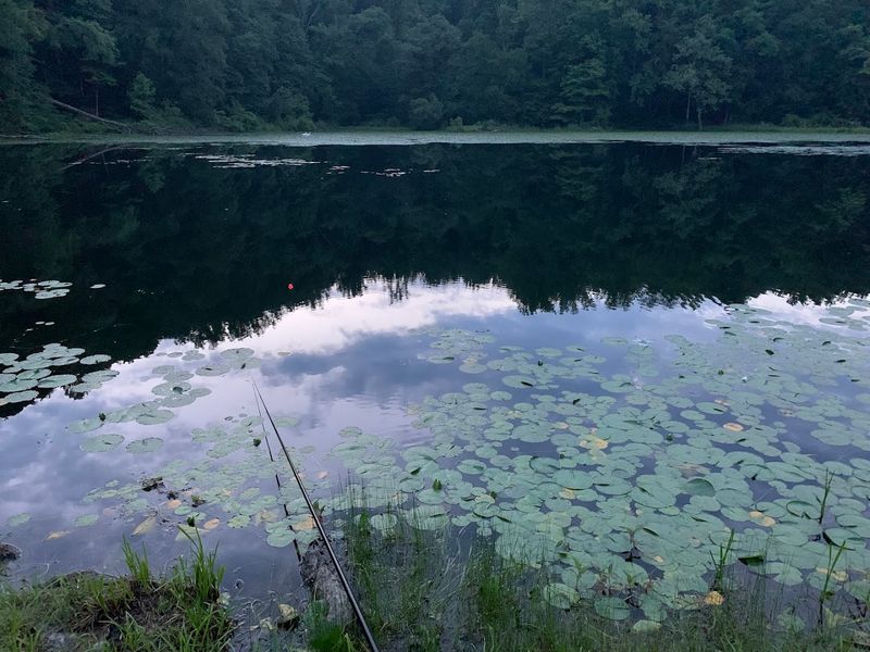 The Story Behind the Name