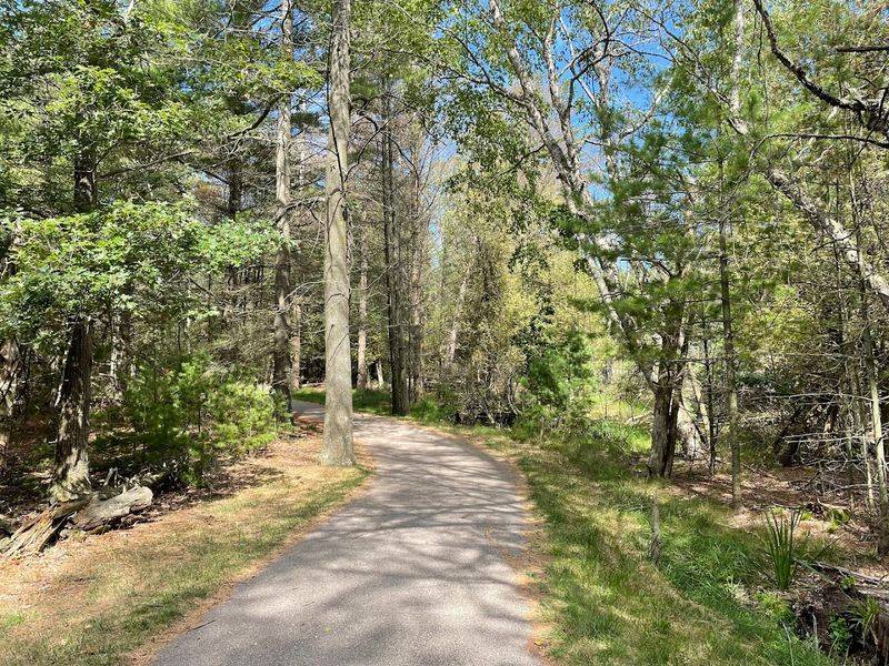 The Campgrounds Themselves: What to Expect Before You Arrive