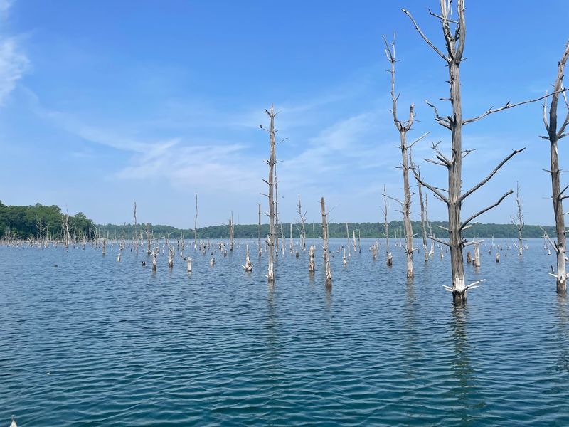 The Story Behind the Water