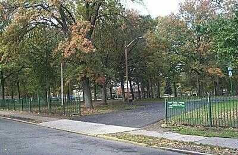 The Amusement Park That Once Stood Here