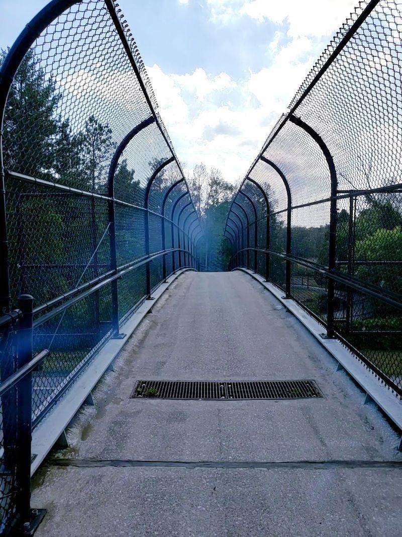 The Pedestrian Bridge That Starts the Adventure