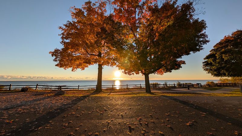 The View That Makes Drivers Stop Mid-Route