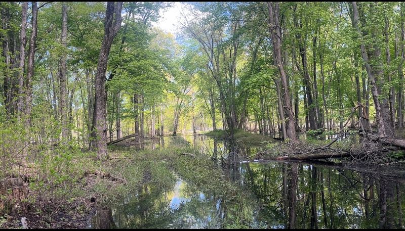 The Scale Of The Wetland Will Catch You Off Guard