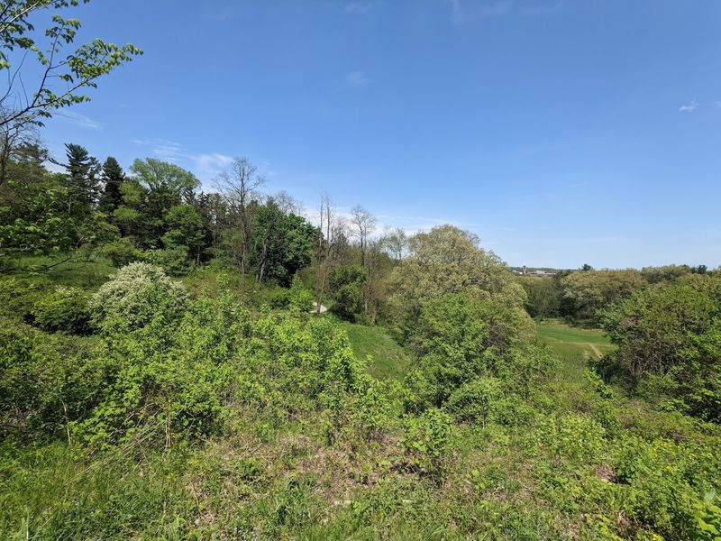 How a Landscape Architect Turned a Hillside Into a Legacy