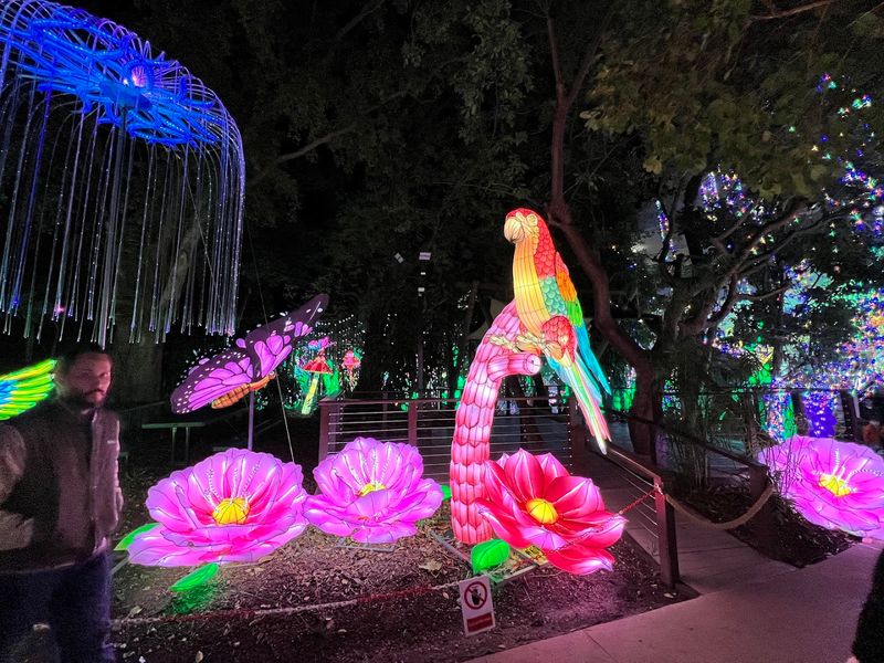 The Story Behind the Garden