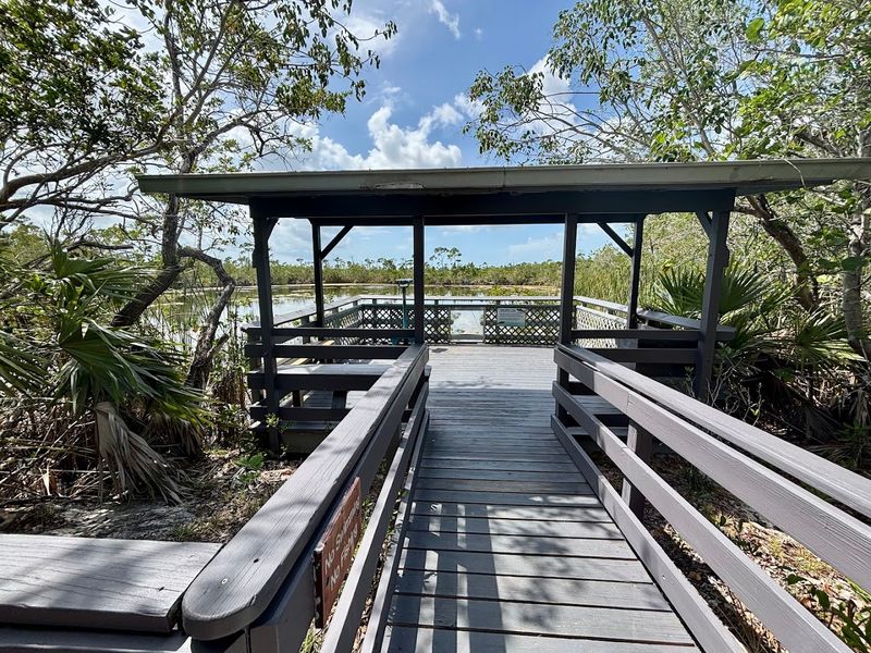 The Fascinating Story Behind the Water