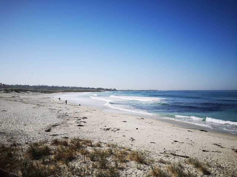 The White Sand and What Makes It So Different