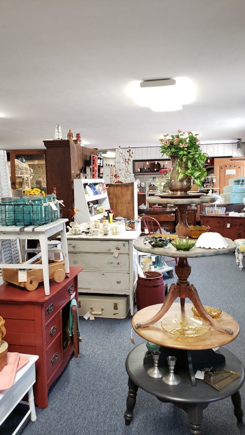 Meet Mr. Smudge, the Shop's Unofficial Greeter