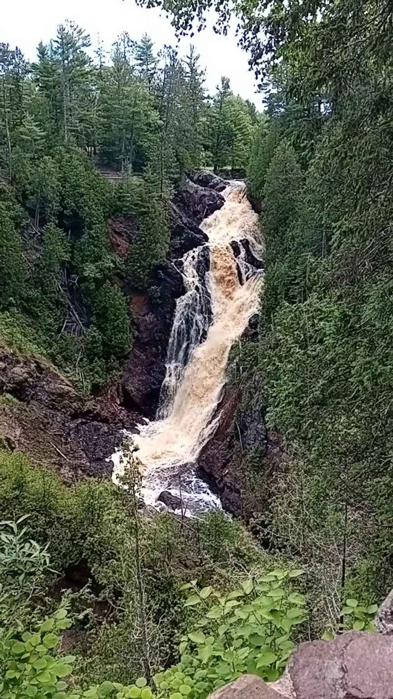 The Falls Themselves: 165 Feet of Raw Power