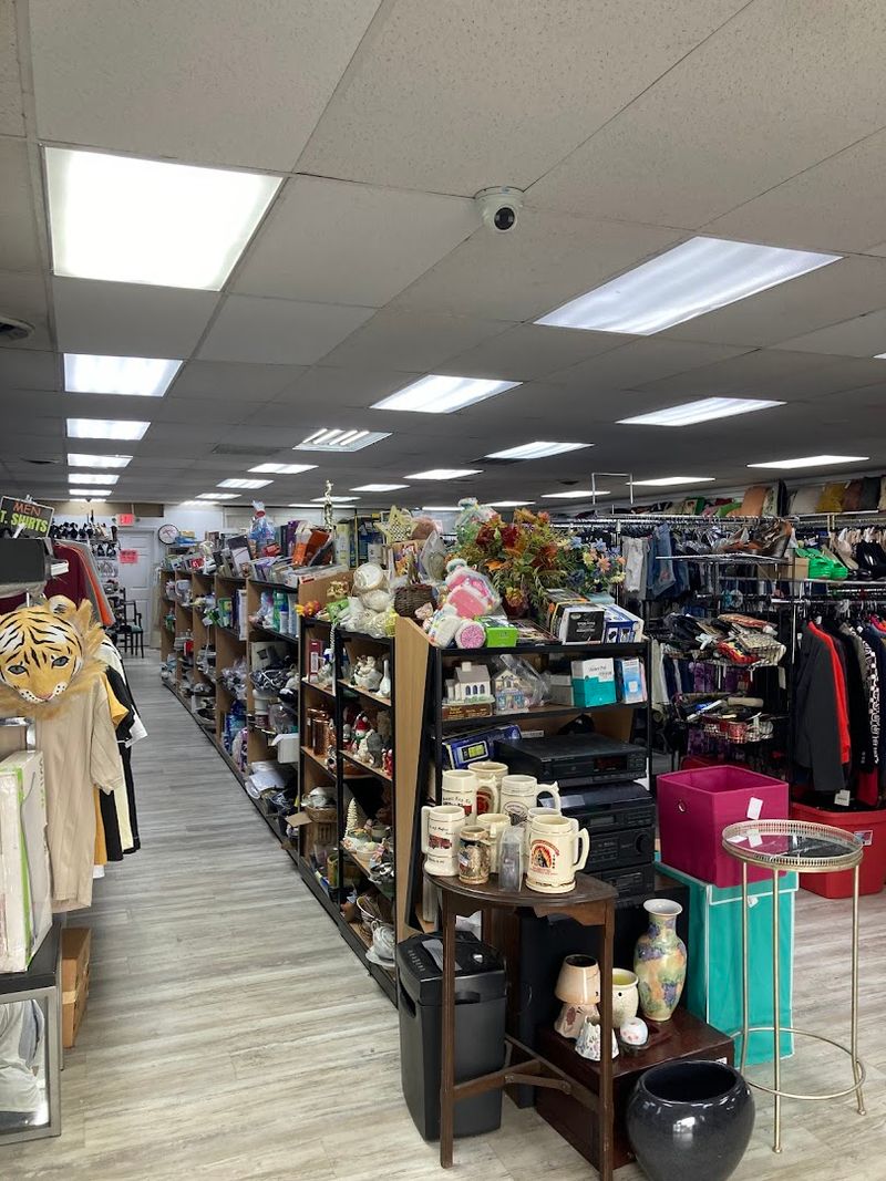 What 100% of Proceeds Actually Means for the Planet