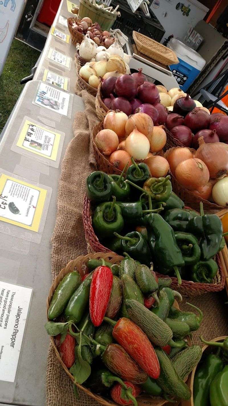 A Market That Grew Into Something Bigger Than Anyone Expected