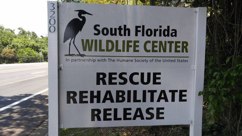A Mission Rooted in Native Wildlife Rescue
