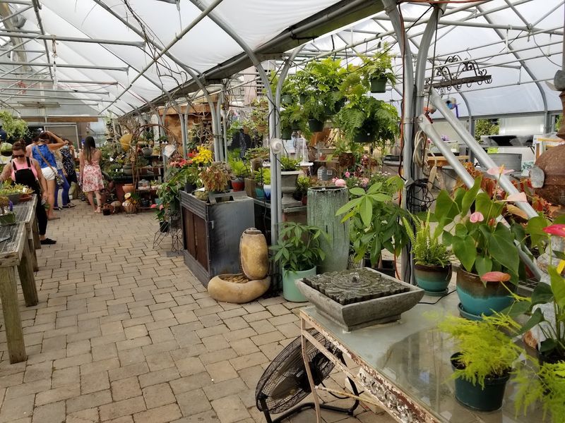 The U.S. Chamber Finalist Story Behind the Name