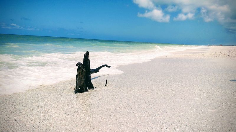 A Landscape with No Roads at All