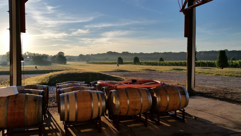 The Old World Wine Philosophy Behind Every Bottle