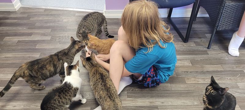 The Story Behind the Café and Its Founder