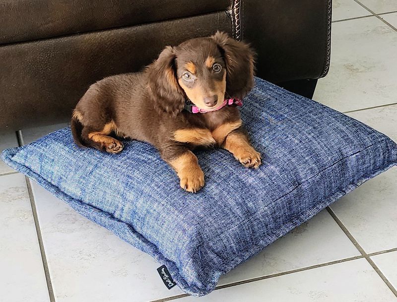 The Story Behind the Store