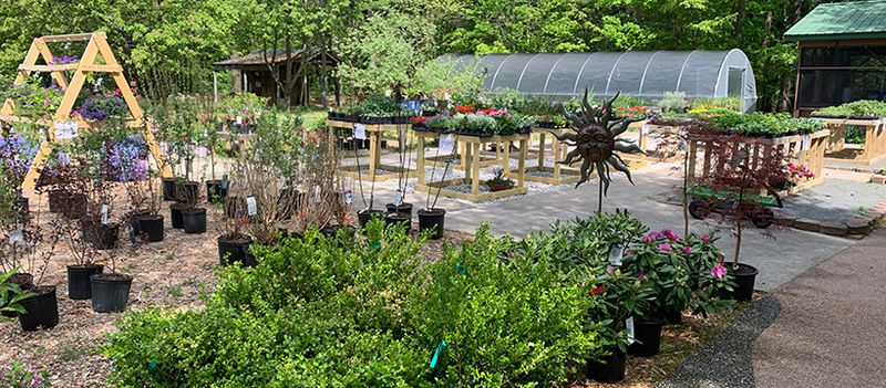 The Story Behind the Garden