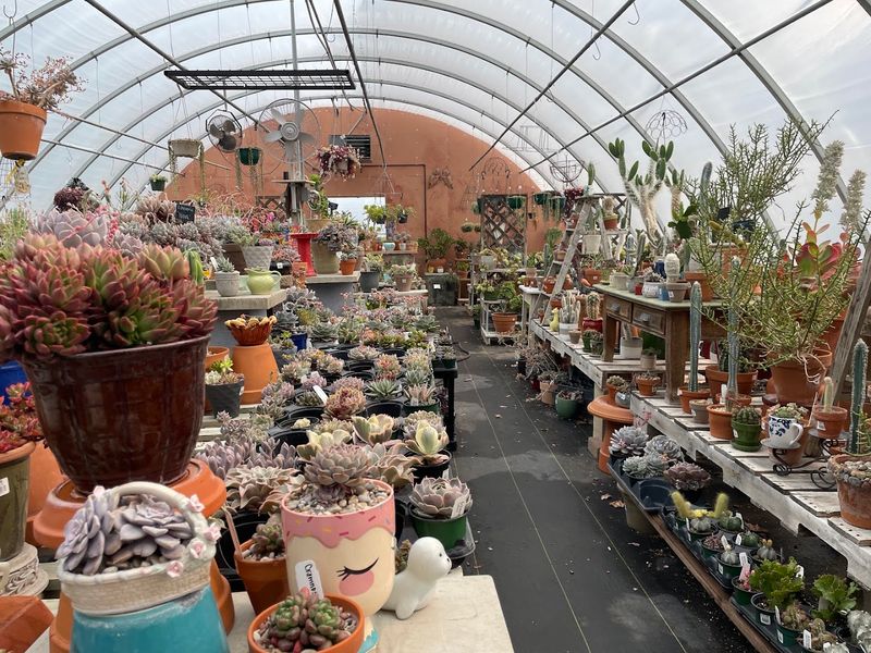 A Garden Center That Is Much More Than Plants