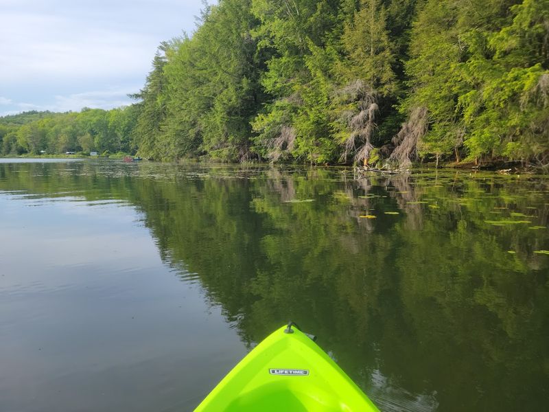 The Pond Itself Is the Star of the Show