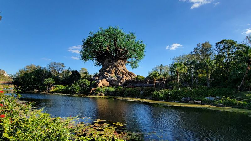 The Tree of Life: The Heart of Discovery Island